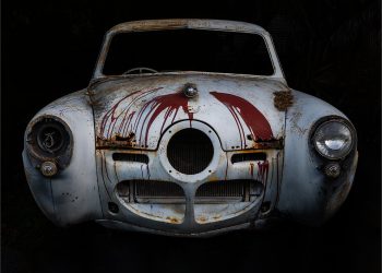 Born to cruise Left to rust-Joyce-Goldschmidt